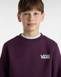 Boys Exposition Check Crew Sweatshirt in Blackberry Wine