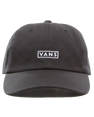 The Vans Mens Vans Curved Bill Jockey Cap in Black