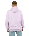 The Vans Mens Classic II Hoodie in Lavender Frost