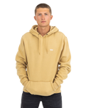 The Vans Mens Comfycush Hoodie in Taos Taupe