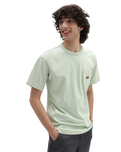 The Vans Mens Off The Wall Graphic T-Shirt in Celadon Green