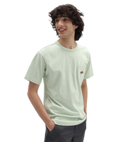 The Vans Mens Off The Wall Graphic T-Shirt in Celadon Green